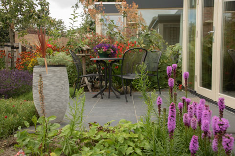 tuin